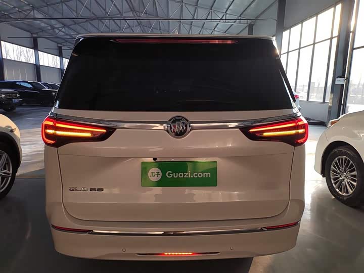 Фото 6 - Buick GL8 ES