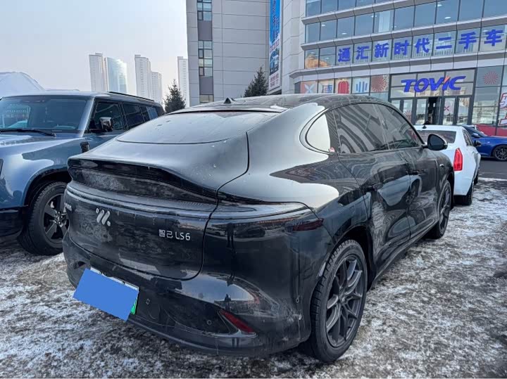 Фото 2 - IM motors LS6