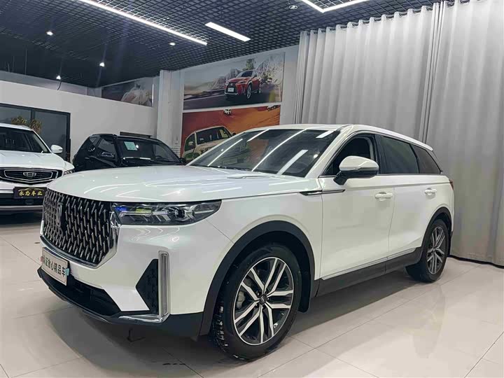 Фото 1 - Bestune T99