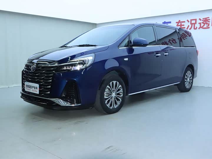 Фото 1 - Buick GL8 ES