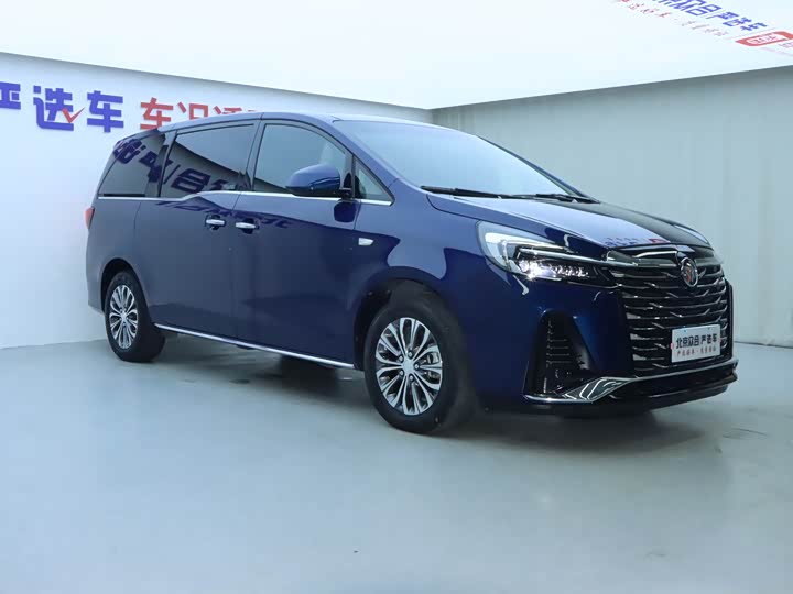 Фото 2 - Buick GL8 ES