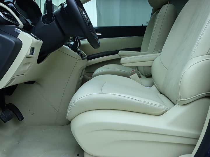 Фото 5 - Buick GL8 ES