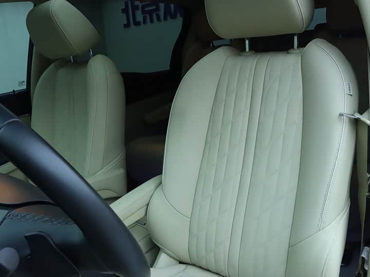 Фото 7 - Buick GL8 ES