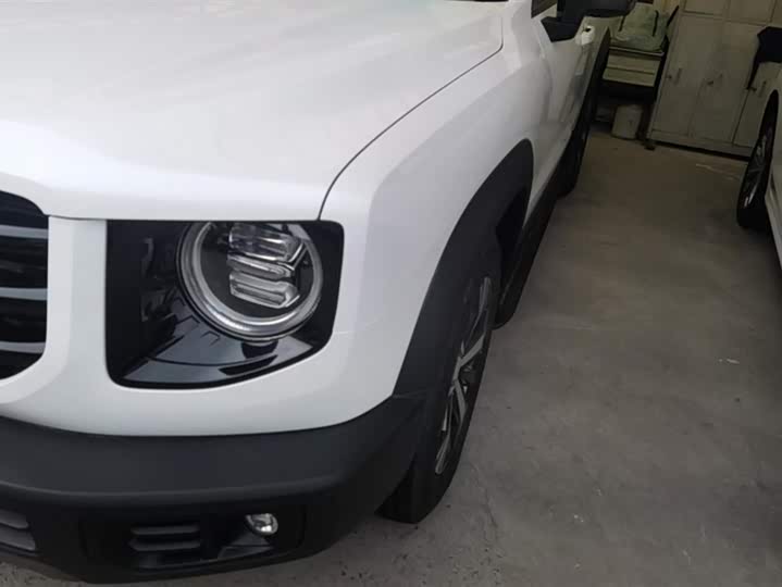 Фото 5 - Haval Dargo