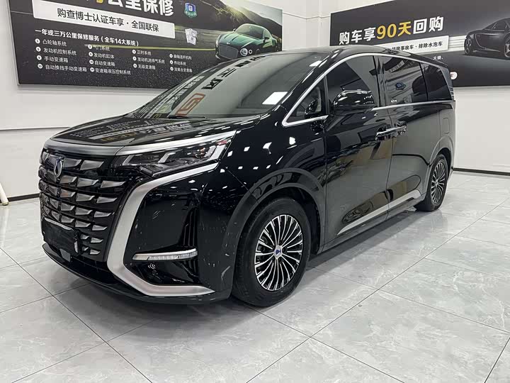 Фото 1 - Denza D9