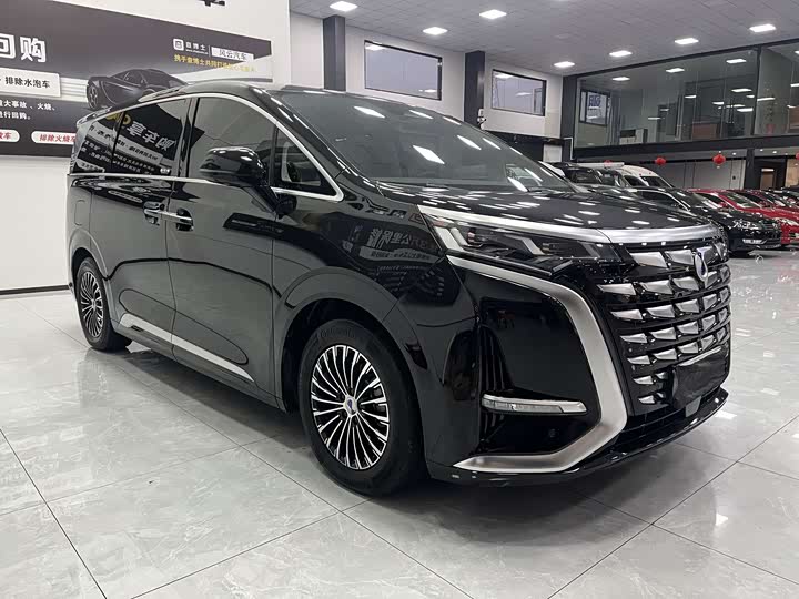 Фото 2 - Denza D9