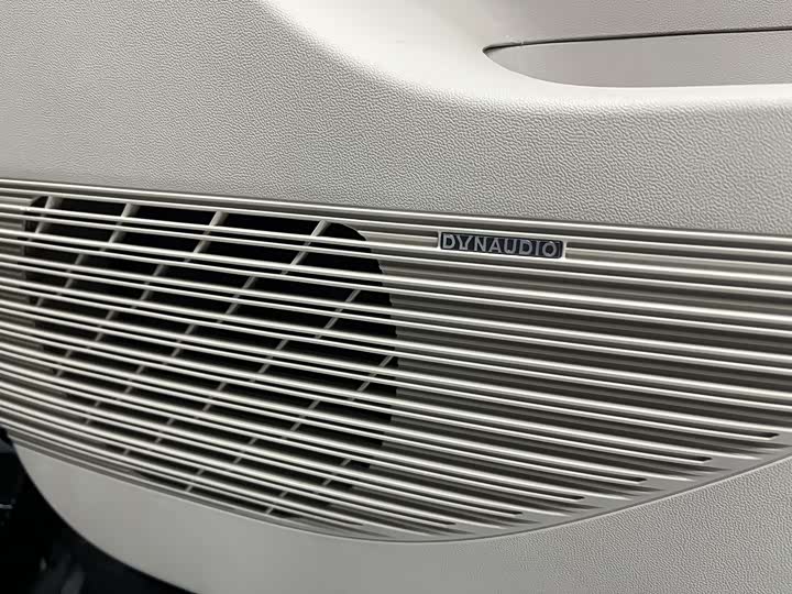 Фото 4 - Denza D9