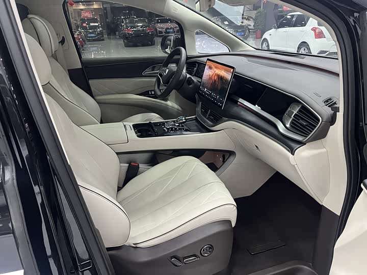 Фото 5 - Denza D9