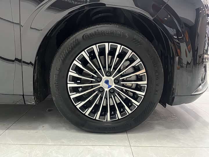 Фото 6 - Denza D9