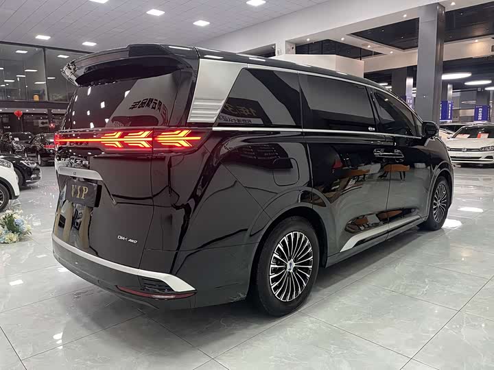 Фото 7 - Denza D9