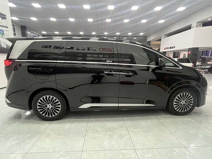 Фото 8 - Denza D9