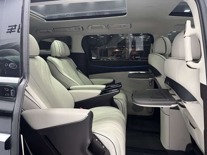 Фото 9 - Denza D9