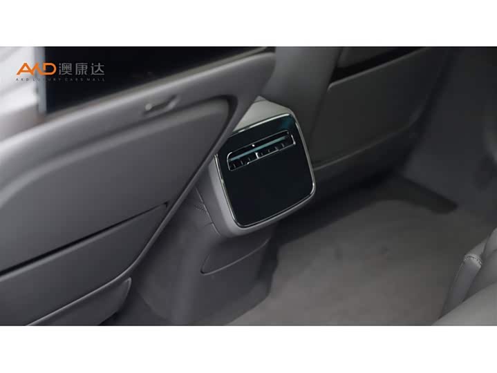 Фото 9 - Denza Z9