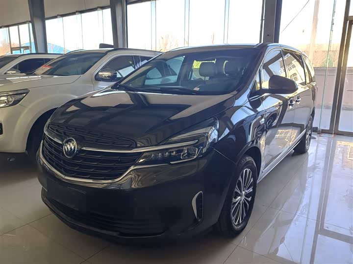 Фото 2 - Buick GL8 ES