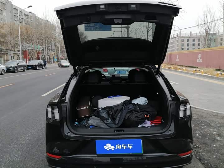 Фото 4 - Ford Mustang Mach-E