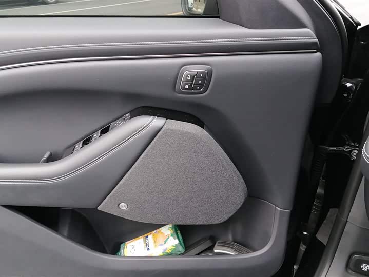 Фото 7 - Ford Mustang Mach-E