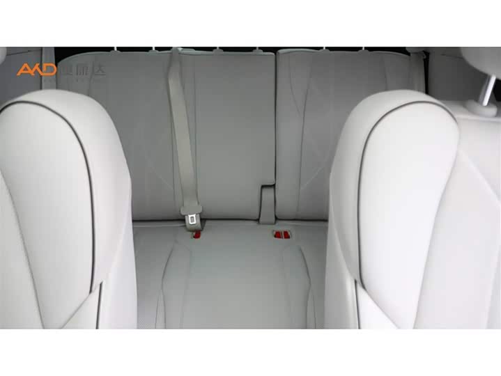 Фото 9 - XPeng X9