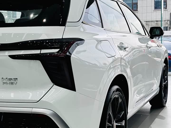 Фото 4 - Hongqi HS3 Hybrid