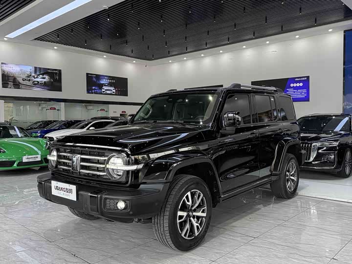 Фото 1 - Tank 300