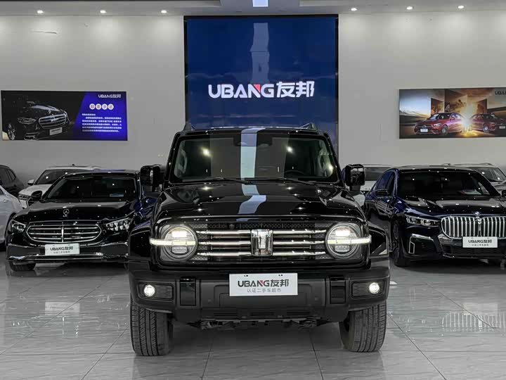 Фото 2 - Tank 300