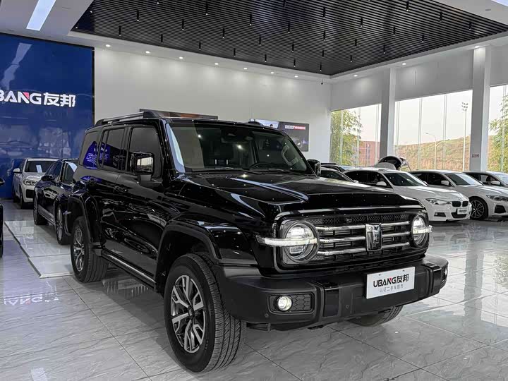 Фото 3 - Tank 300