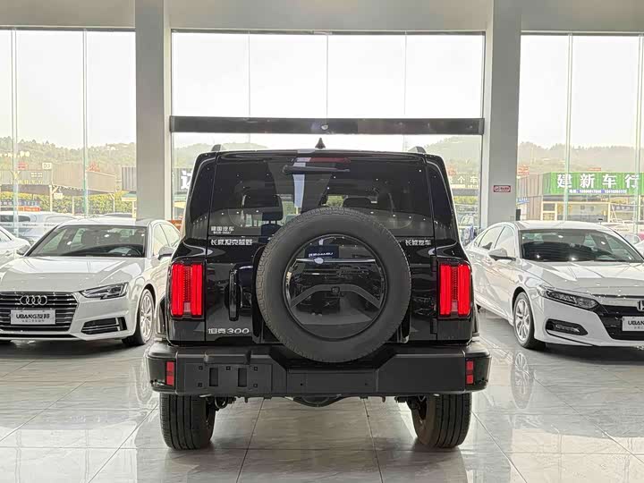 Фото 5 - Tank 300