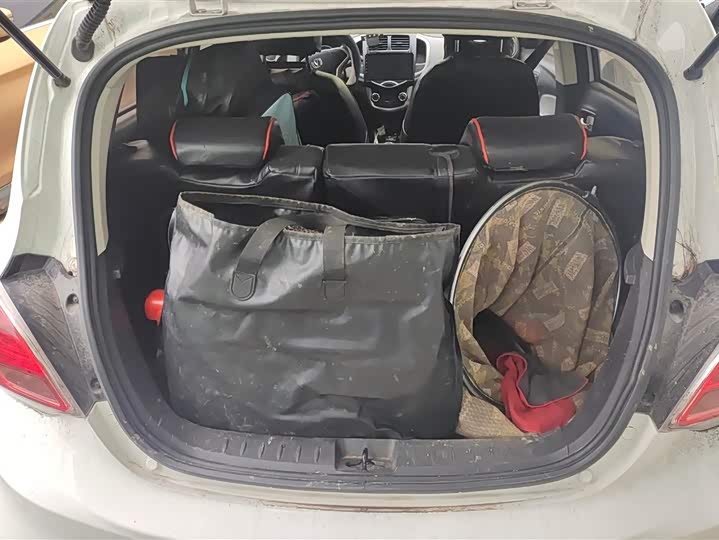 Фото 4 - Changan BenBen E-Star