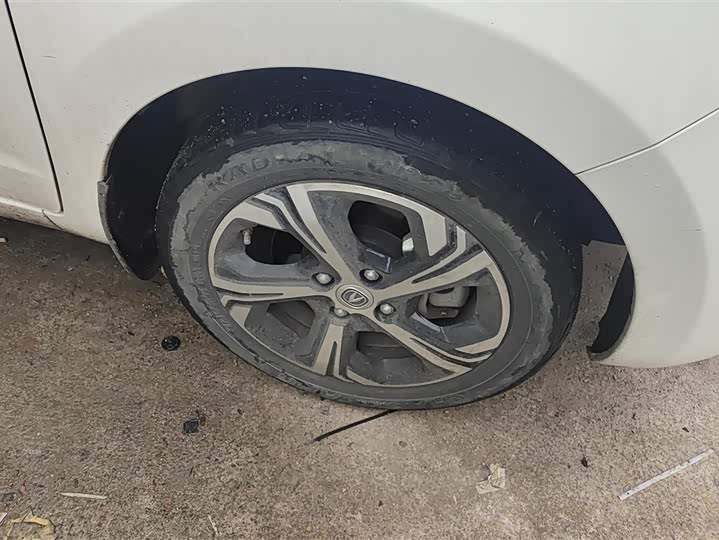 Фото 6 - Changan BenBen E-Star