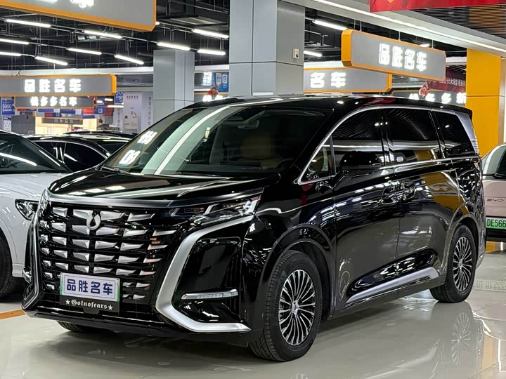 Фото 1 - Denza D9