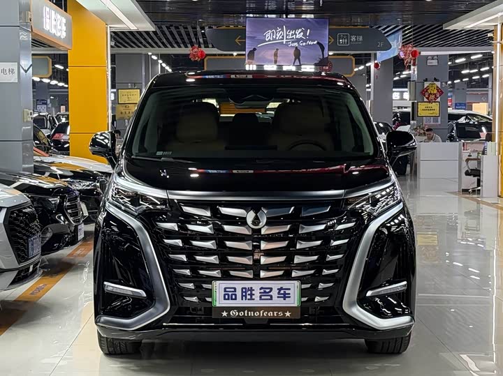 Фото 2 - Denza D9