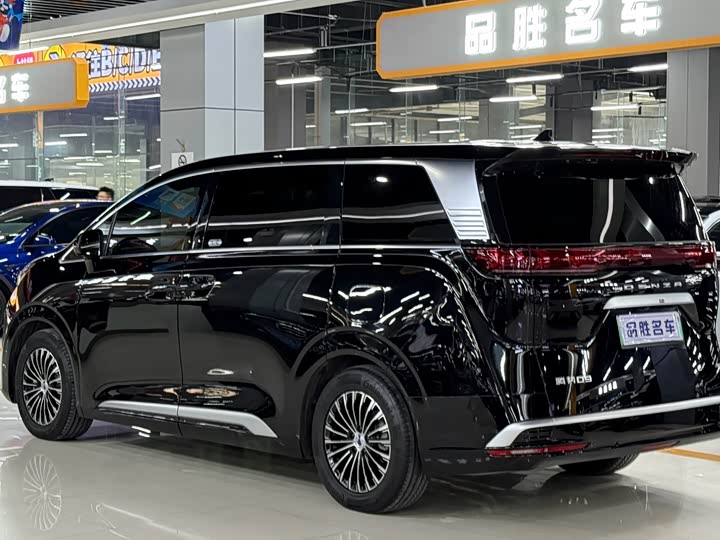 Фото 3 - Denza D9