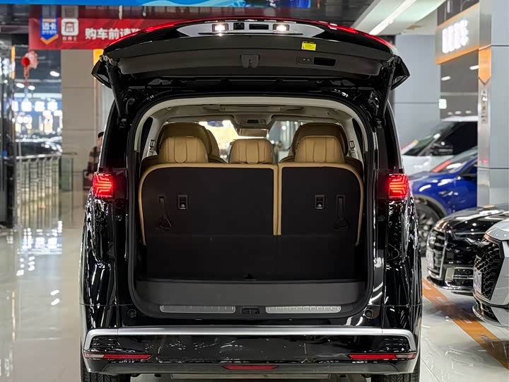 Фото 5 - Denza D9