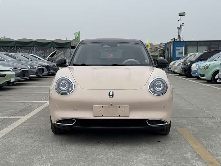 Фото 2 - Ora Good Cat (03)