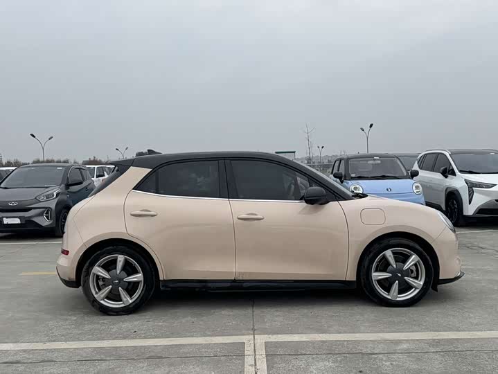 Фото 4 - Ora Good Cat (03)