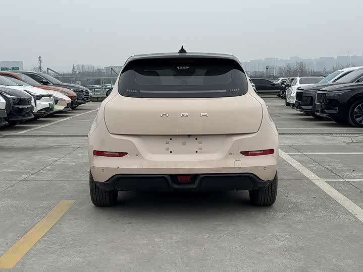 Фото 6 - Ora Good Cat (03)