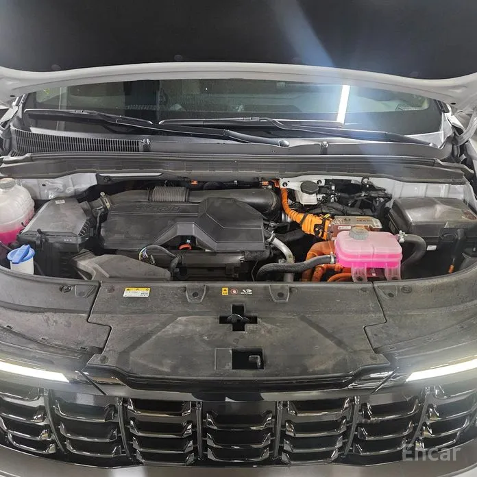 Фото 20 - Kia Carnival