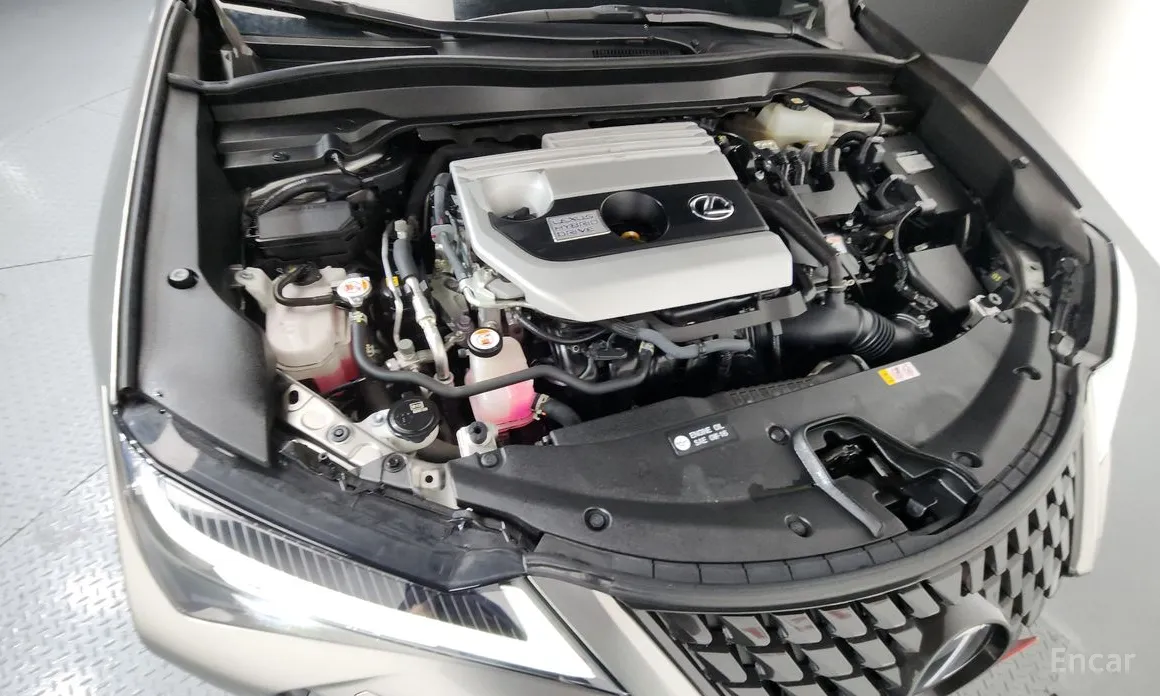 Фото 6 - Lexus UX