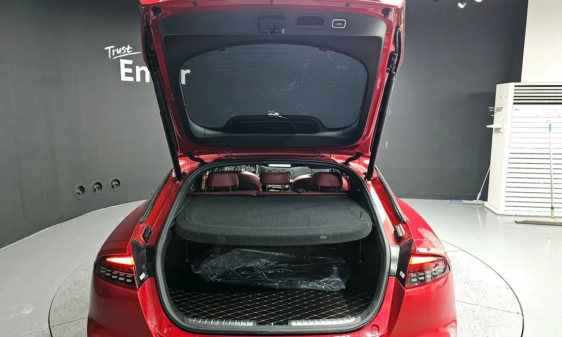 Фото 20 - Kia Stinger