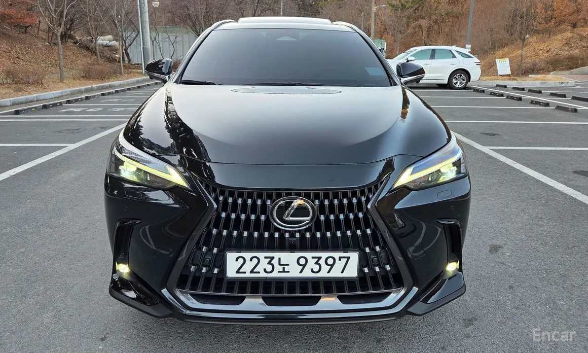 Фото 1 - Lexus NX