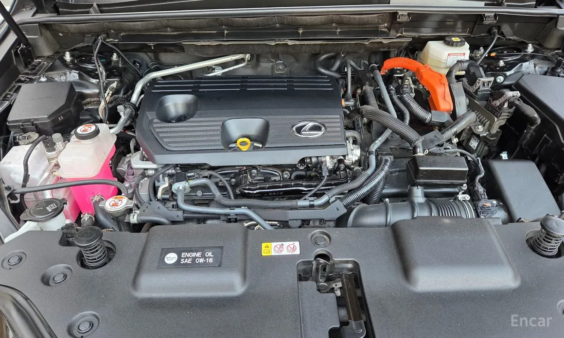 Фото 8 - Lexus NX