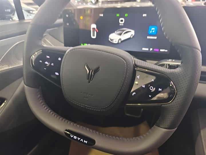 Фото 6 - Voyah Passion