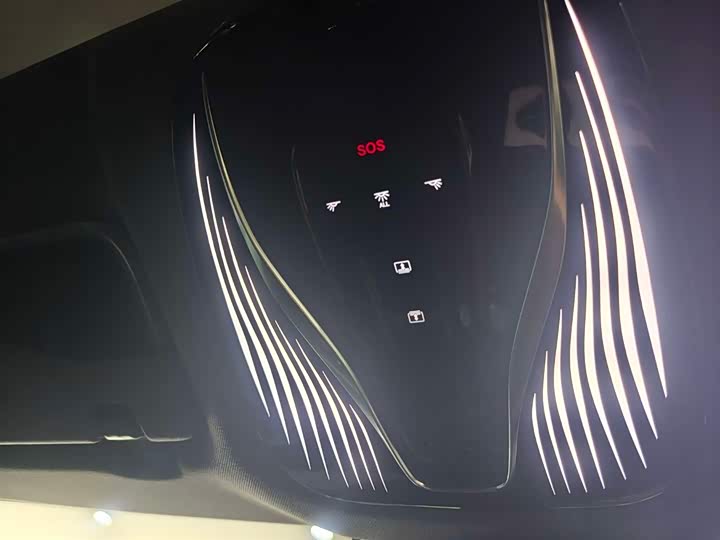 Фото 9 - Voyah Passion