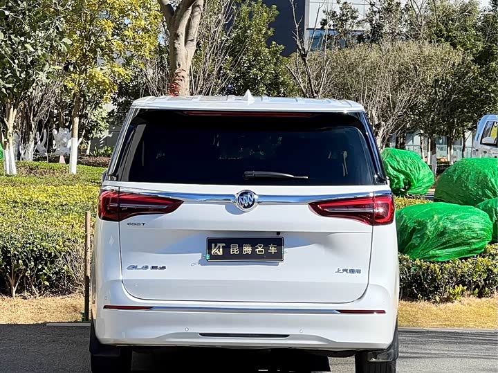 Фото 6 - Buick GL8 ES