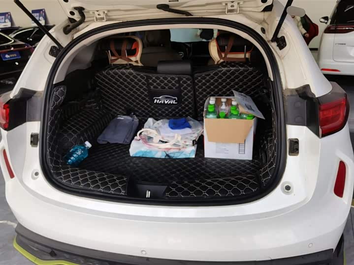 Фото 4 - Haval Chitu