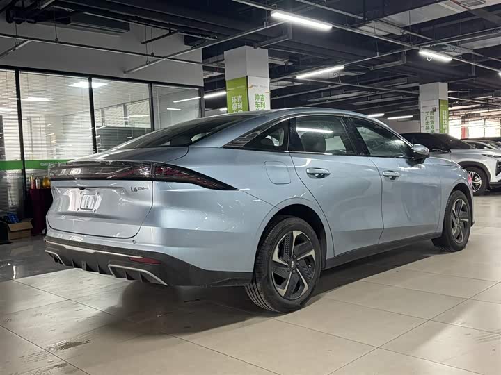 Фото 6 - Geely Galaxy L6