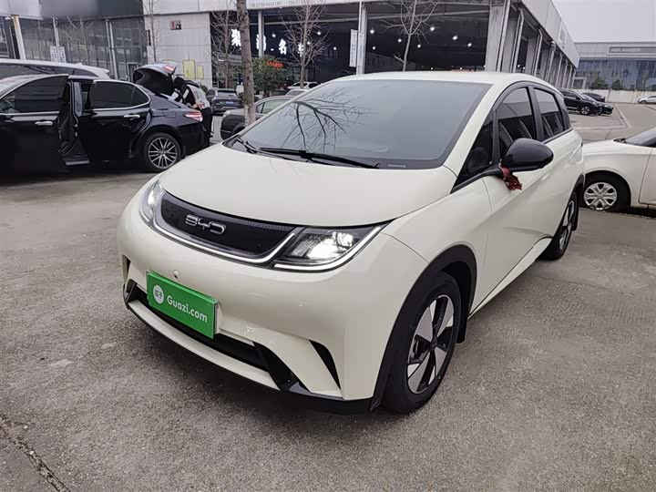 Фото 2 - BYD Dolphin