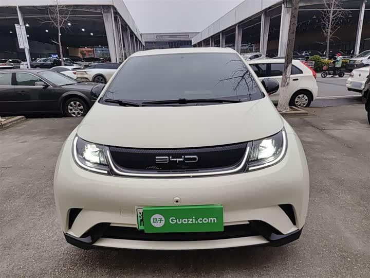 Фото 3 - BYD Dolphin