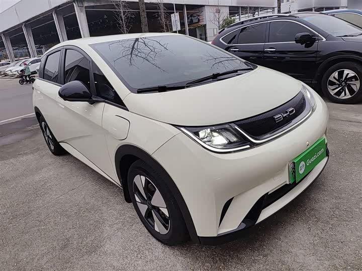 Фото 4 - BYD Dolphin