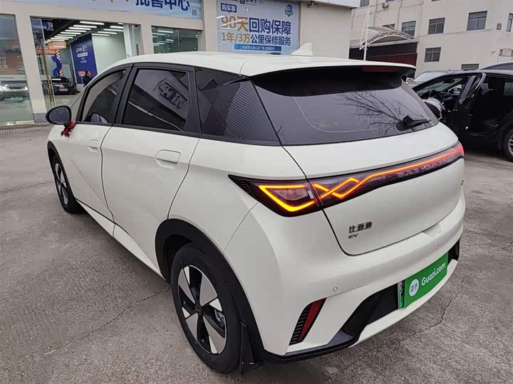 Фото 5 - BYD Dolphin