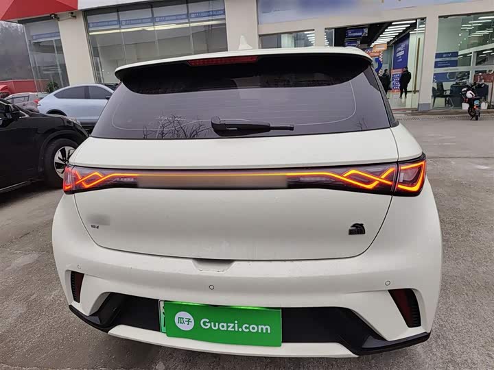 Фото 6 - BYD Dolphin